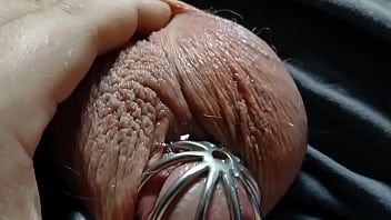 A very leaky cage puppy