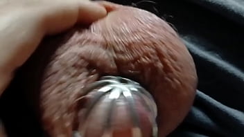 A very leaky cage puppy