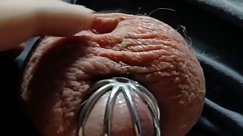 A very leaky cage puppy