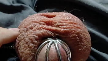 A very leaky cage puppy