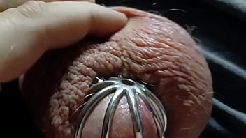 A very leaky cage puppy