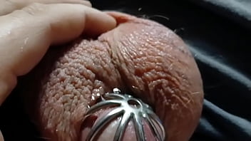 A very leaky cage puppy