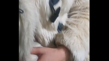 Is this your favorite fur coat