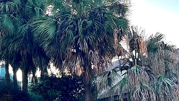 She gets it in the ass at the super bowl