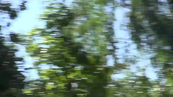 Teen mandy fucking and swallowing dick for a facial cumshot