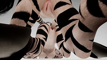 Lesbian zebras