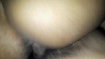 Las perras les gusta el pene