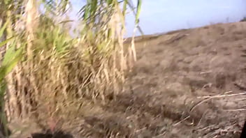 Skinny pretty amateur chick is banged outdoors hardfingered moaning bitch