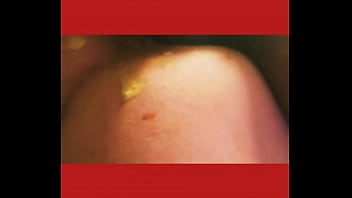 Japanesedoghouseor jp