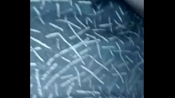 Xiaoying video 1501008546296