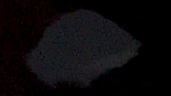 Asses get fucked good