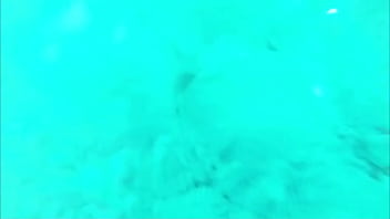 La vida podría ser un sueño La vida podría ser un sueño