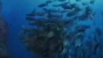 La vida podría ser un sueño