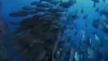 La vida podría ser un sueño