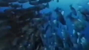 La vida podría ser un sueño