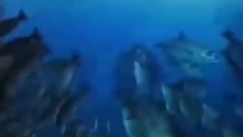 La vida podría ser un sueño