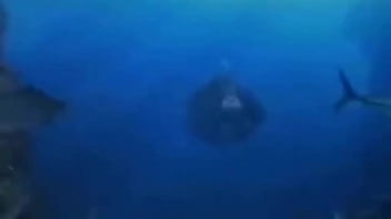 La vida podría ser un sueño