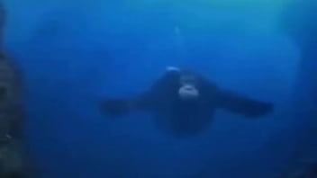 La vida podría ser un sueño