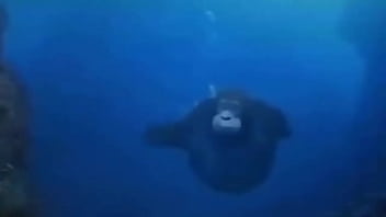 La vida podría ser un sueño