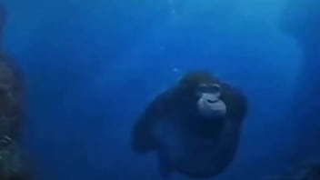 La vida podría ser un sueño