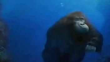 La vida podría ser un sueño