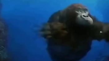 La vida podría ser un sueño