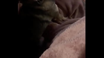 Braxton makes everything better ️