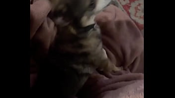 Braxton makes everything better ️