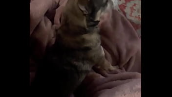 Braxton makes everything better ️