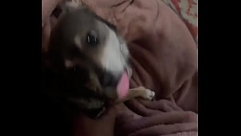 Braxton Makes Everything Better ️ thumbnail