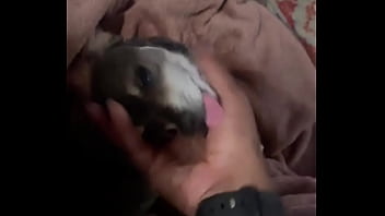 Braxton makes everything better ️