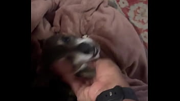 Braxton makes everything better ️