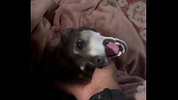 Braxton makes everything better ️