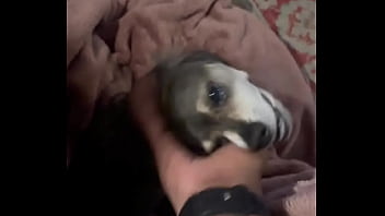 Braxton makes everything better ️