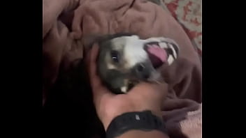 Braxton makes everything better ️