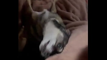 Braxton makes everything better ️