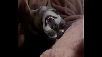 Braxton makes everything better ️