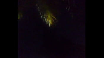 Perfil americano que amo odeio negras