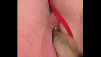 Nuevaamiga2 chihuahua chih