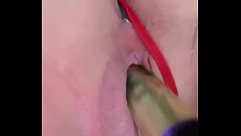 Nuevaamiga2 chihuahua chih