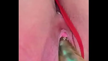 Nuevaamiga2 chihuahua chih