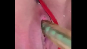 Nuevaamiga2 chihuahua chih