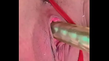 Nuevaamiga2 chihuahua chih