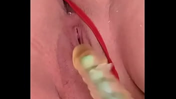 Nuevaamiga2 chihuahua chih