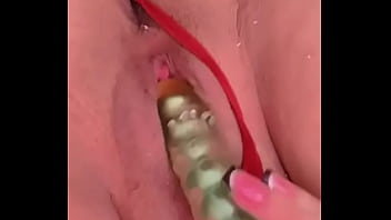 Nuevaamiga2 chihuahua chih