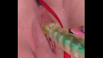 Nuevaamiga2 chihuahua chih