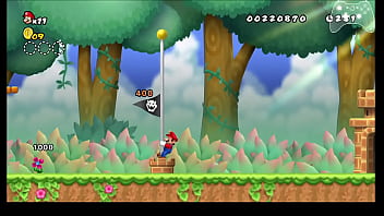 Nsmb wii any% speedrun