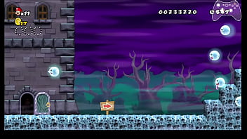Nsmb wii any% speedrun