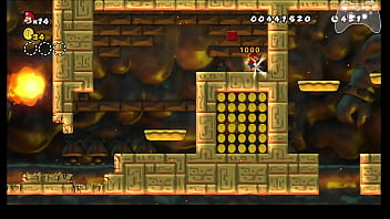 Nsmb wii any% speedrun