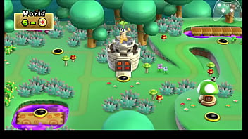 Nsmb wii any% speedrun